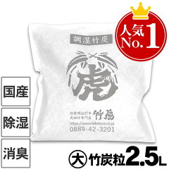 竹虎 調湿竹炭パック（大）