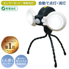 ムサシ RITEX LEDどこでもセンサーライトダブル ASL-092