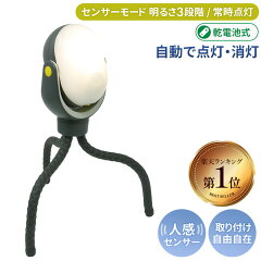 ムサシ RITEX どこでもセンサーライト300 ASL-097